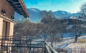 Transylvania Mountain View Cdi